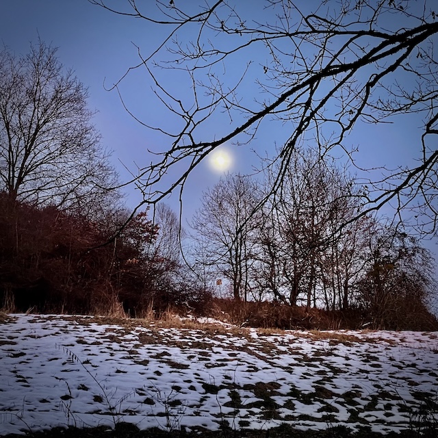 Der Letzte und der Erste